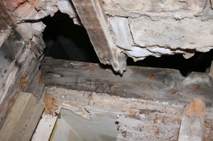 Holes in all affected Timbers, The Rotten Timber Frame and Joists.
