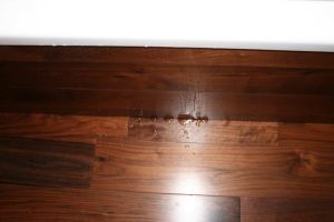 Wet edge of plywood from bath use 2